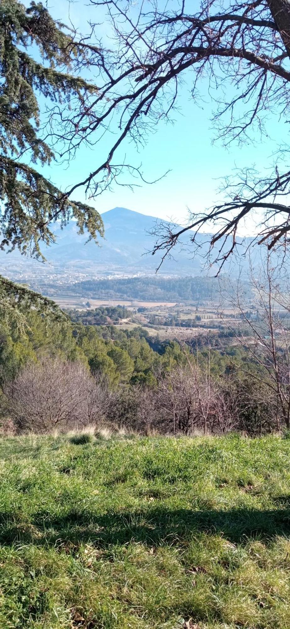 Studio Tout Confort En Provence Mont Ventoux. Bédoin Exteriér fotografie